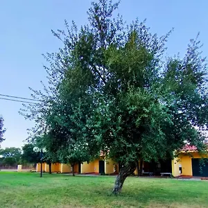  Casa vacanze Nuraghe Ruiu Eco-camping Village